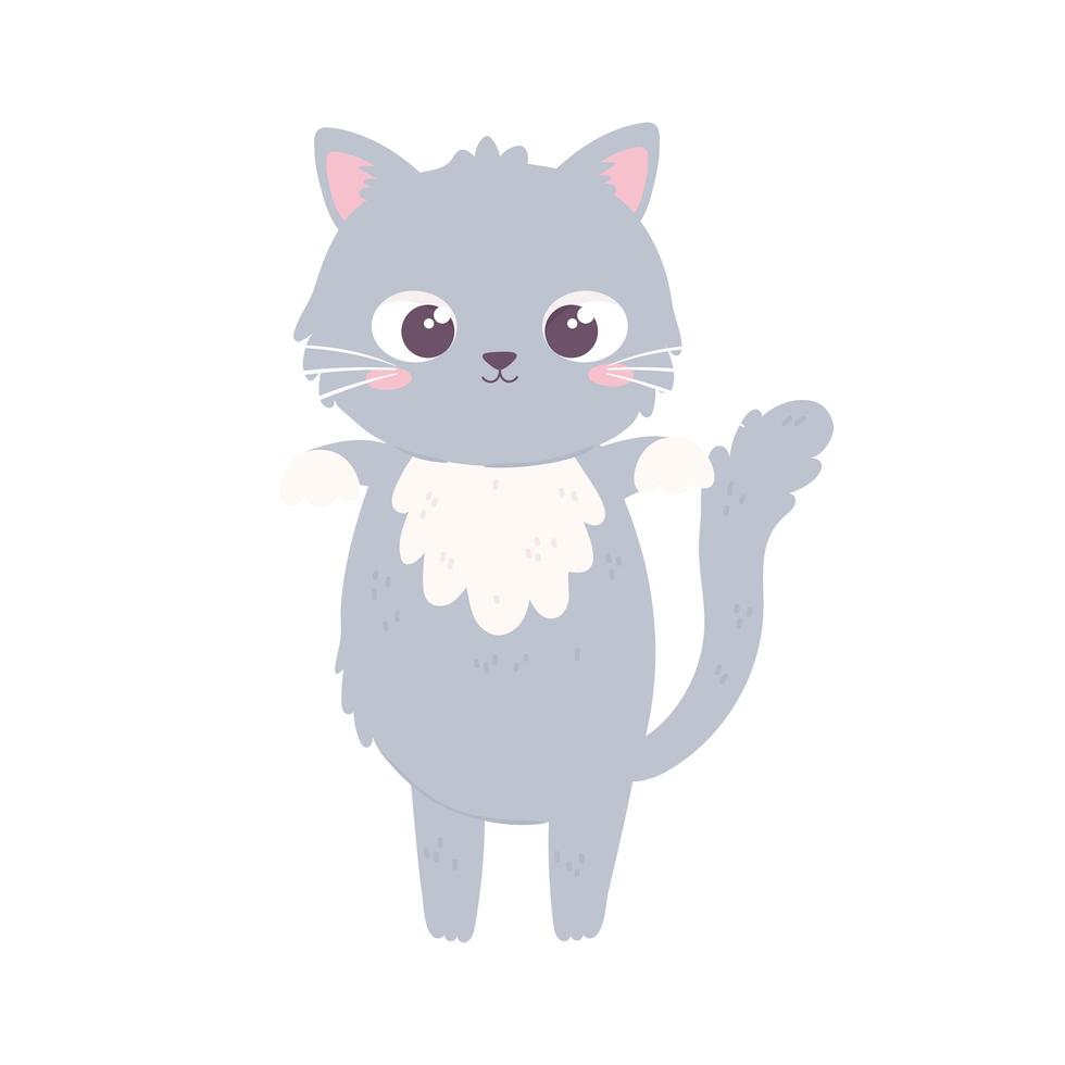 cute gray kitty vector