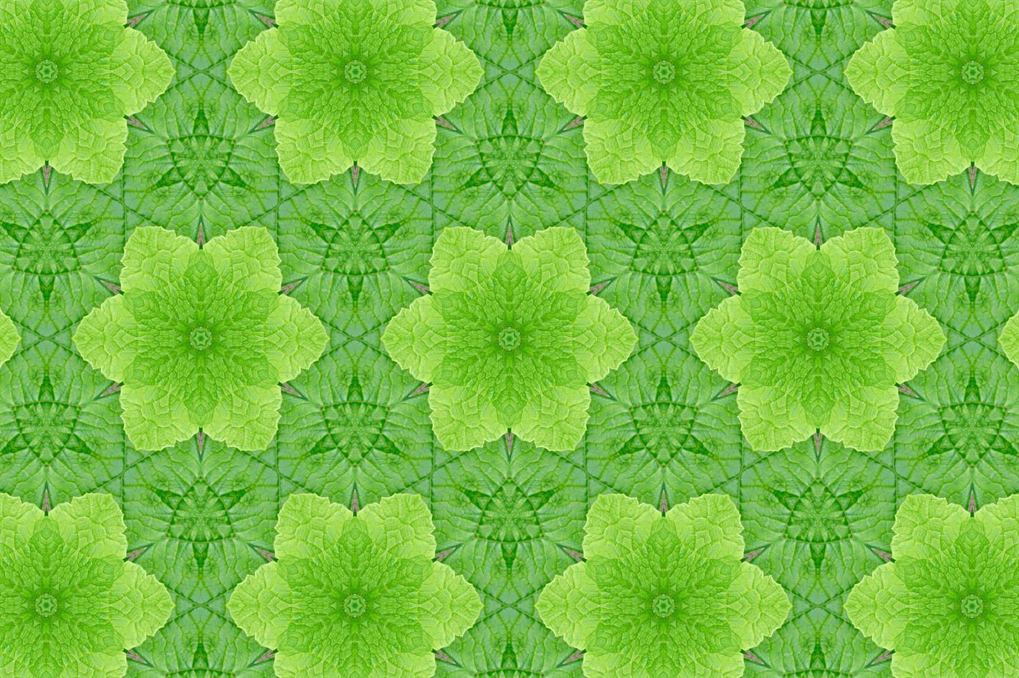 Green abstract textured background photo