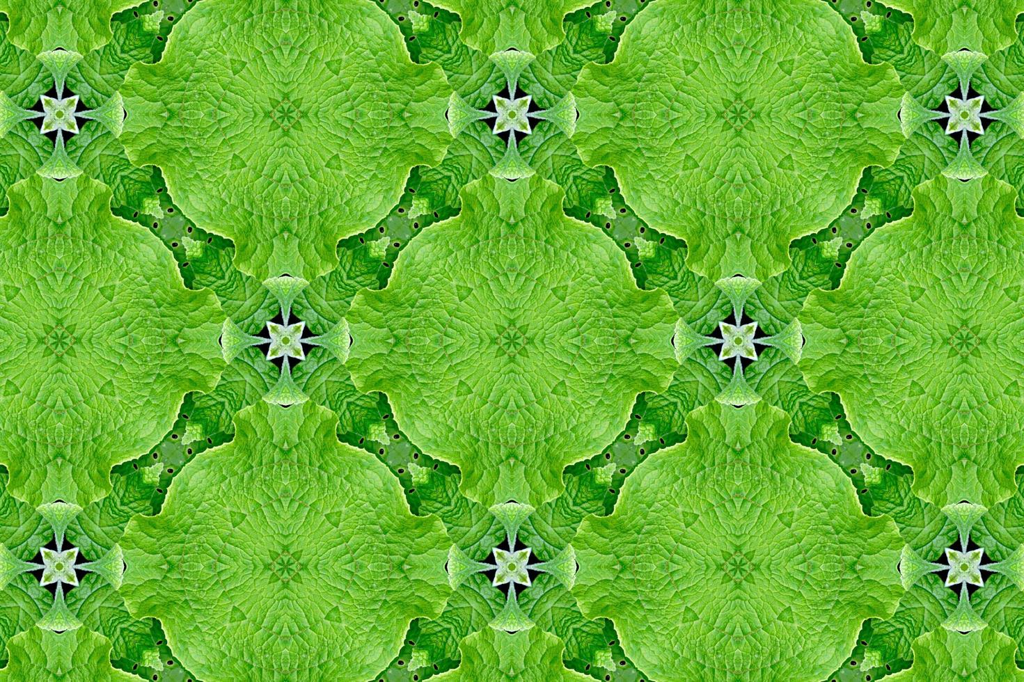 Green abstract textured background photo