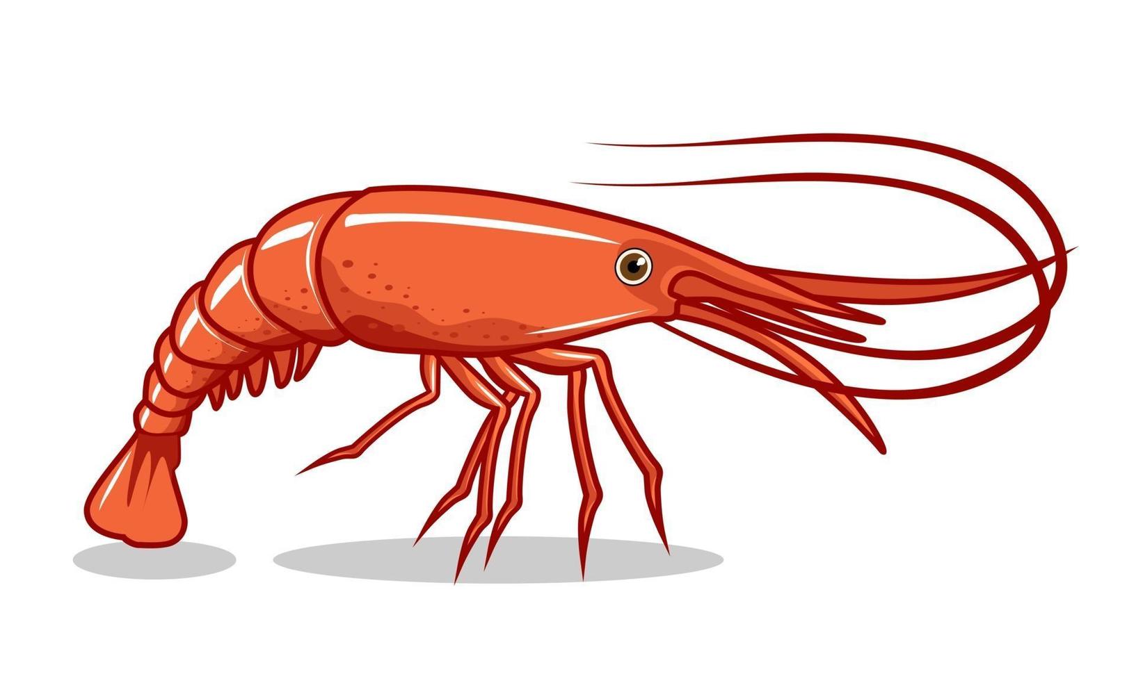 ilustraciones de camarones dibujos animados de gambas vector