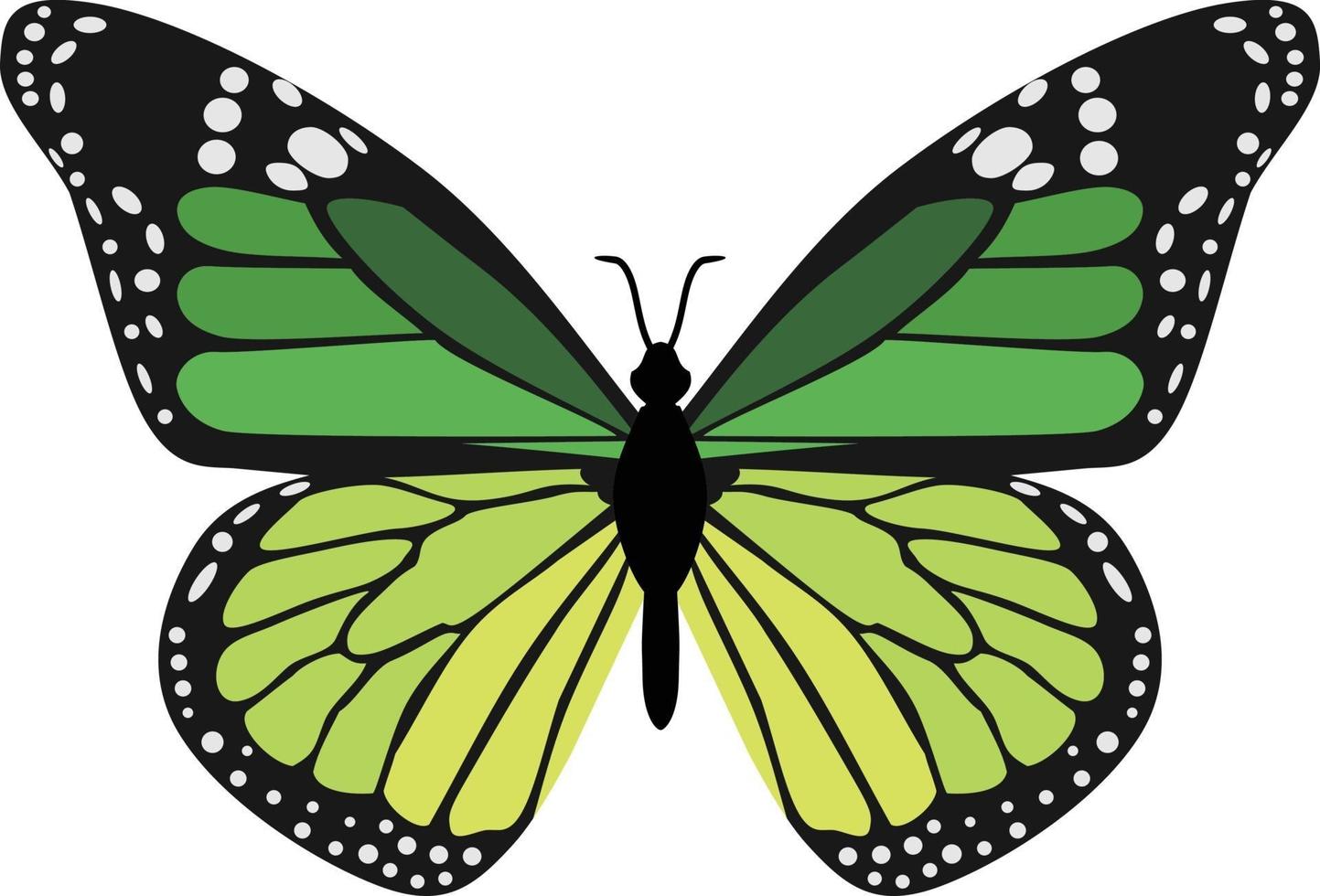 animal insecto mariposa verde vector