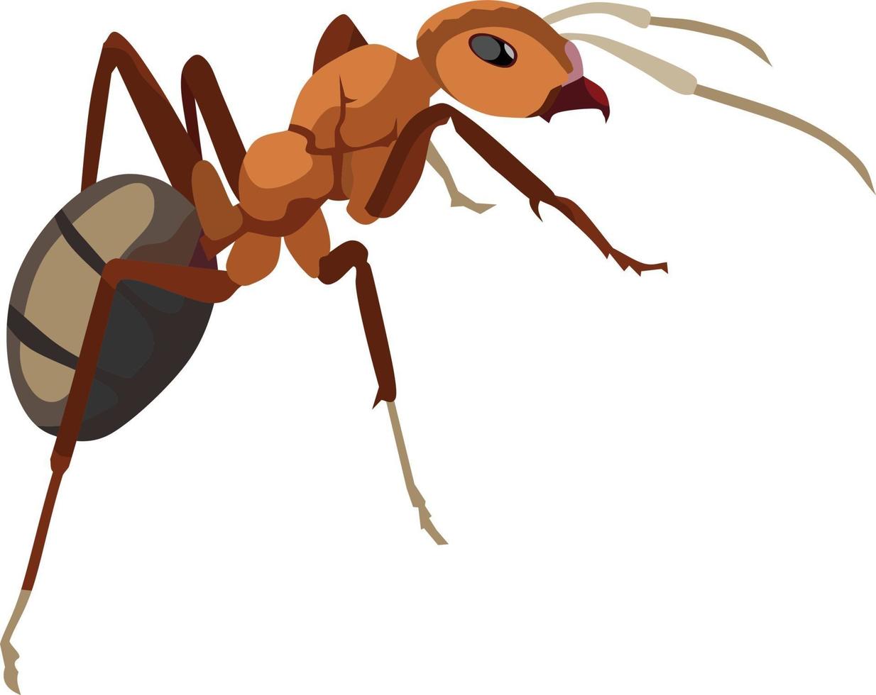 Red Ant Insect Animal Vector Illustration