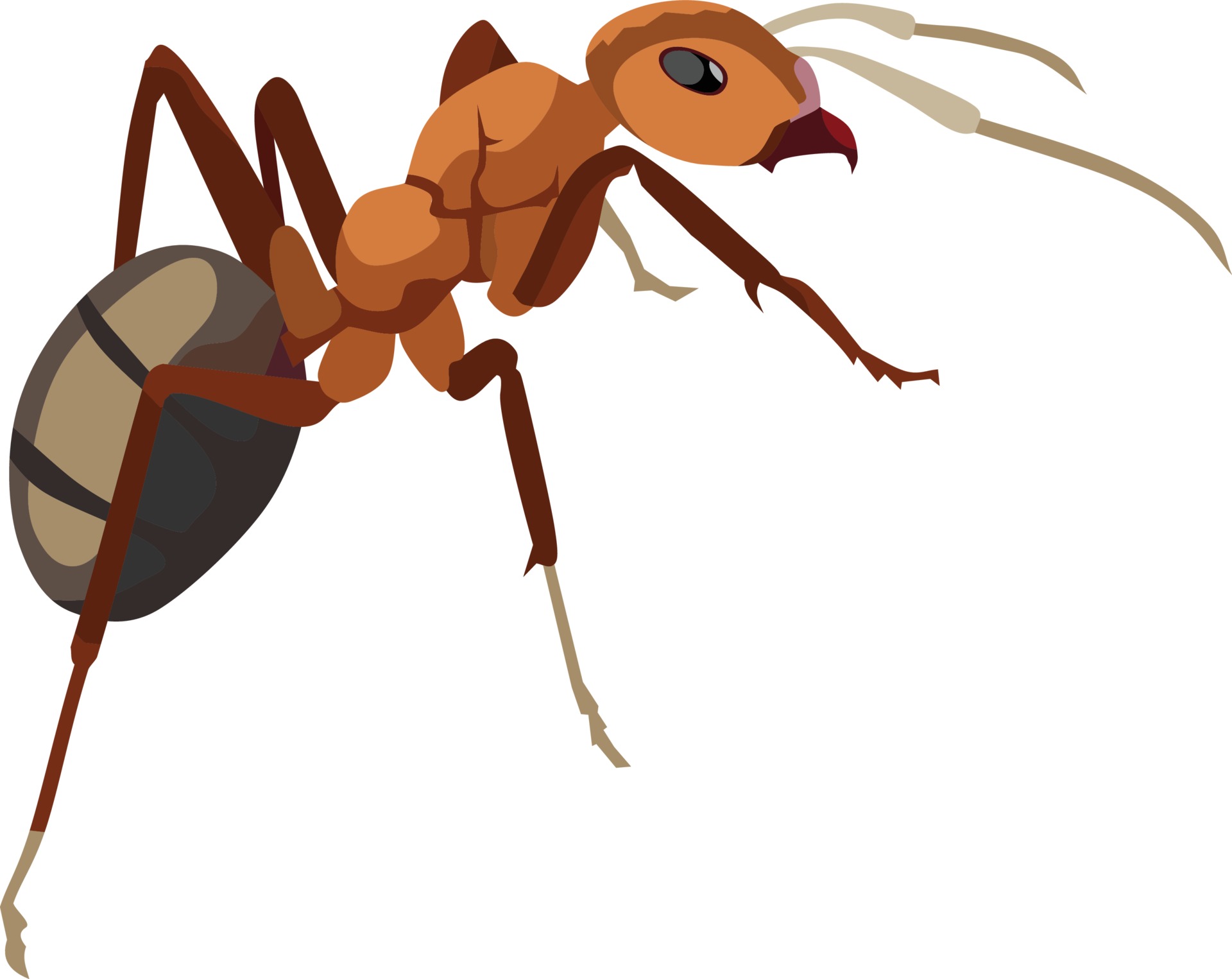 Red Ant Insect Animal Vector Illustration 3443699 Vector Art at Vecteezy