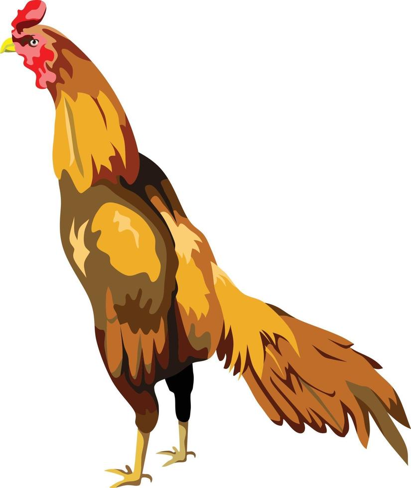 Cock Rooster Bird Animal Vector Illustration