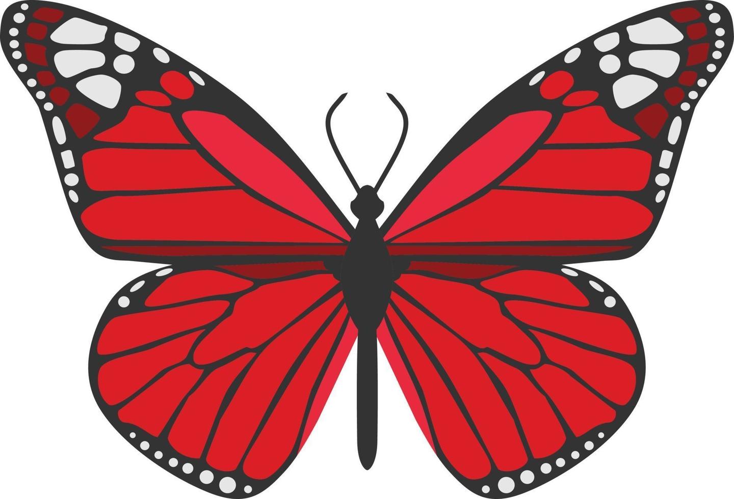 Red Butterfly Insect Animal vector