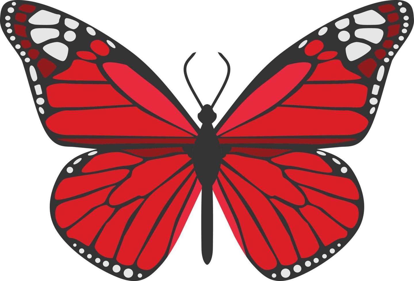 Red Butterfly Insect Animal vector