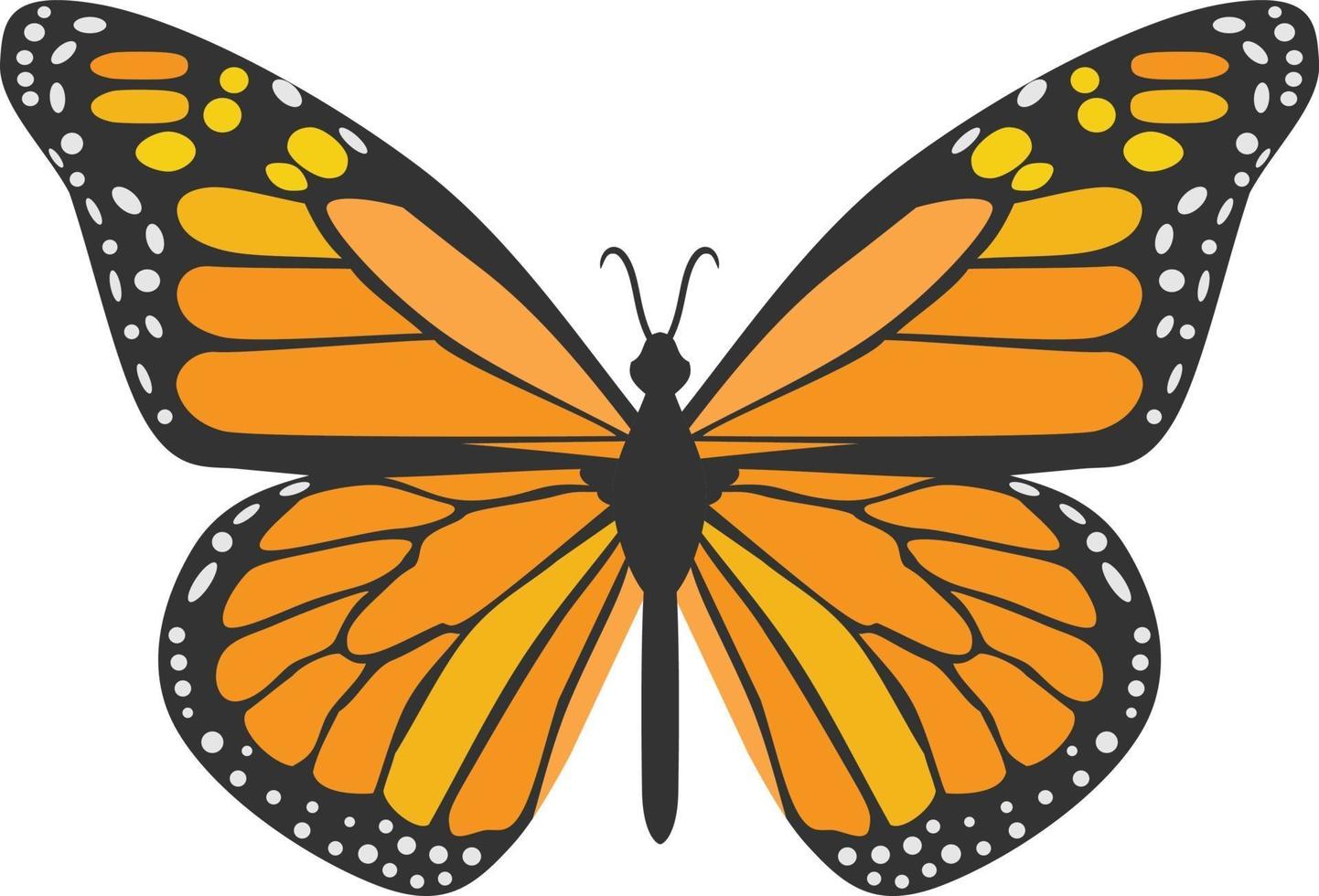 animal insecto mariposa naranja vector