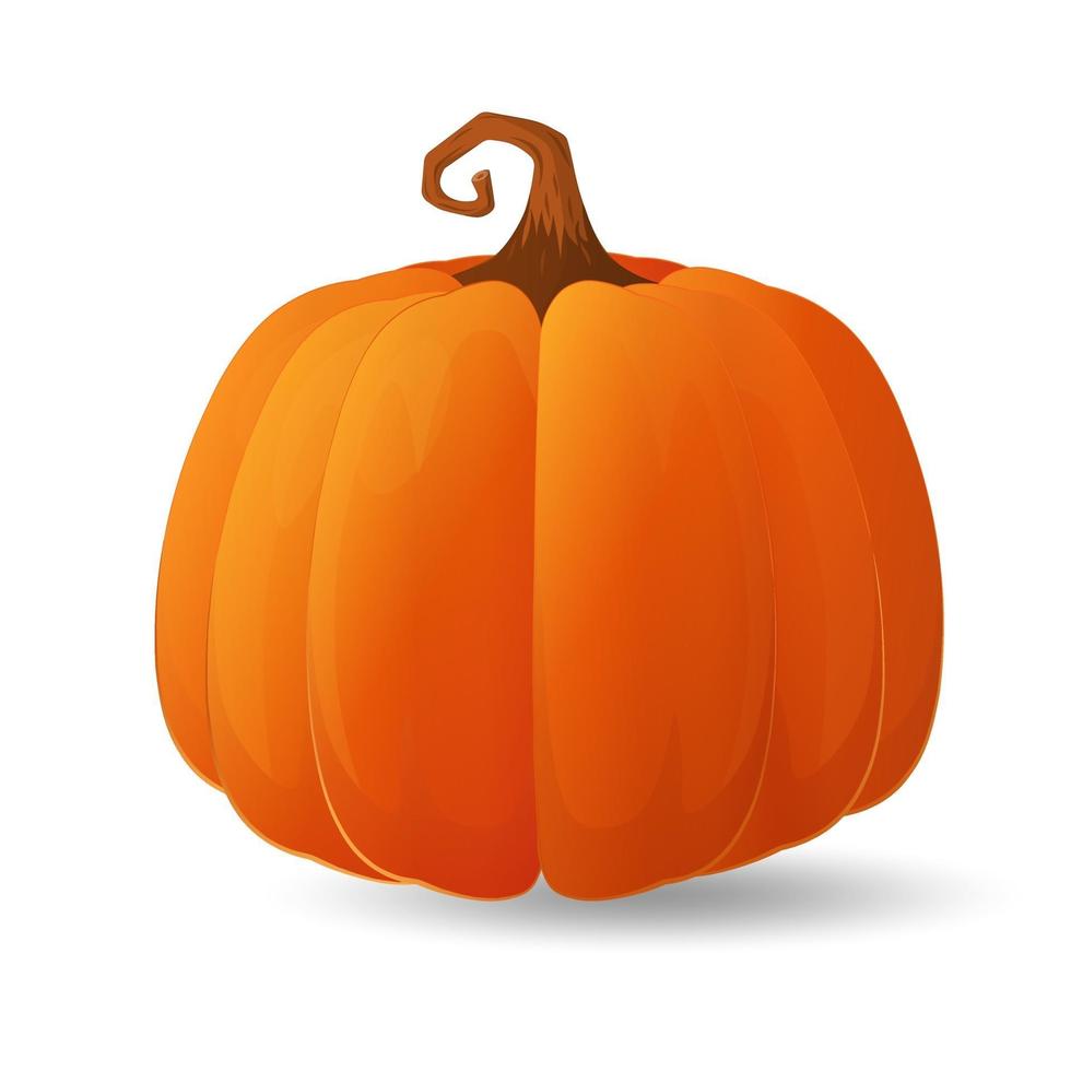 Halloween scary orange pumpkin Holiday cartoon concept vector