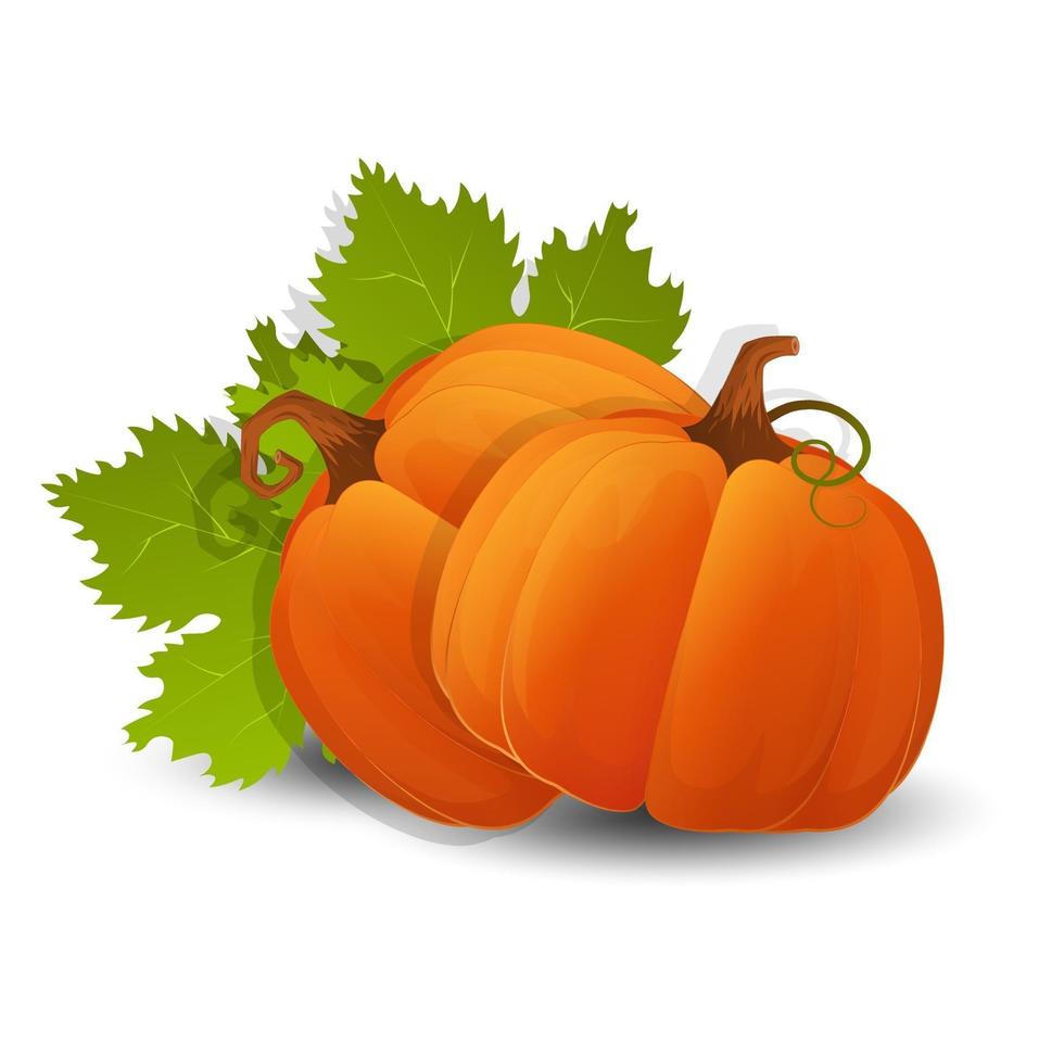 Halloween scary orange pumpkin Holiday cartoon concept vector