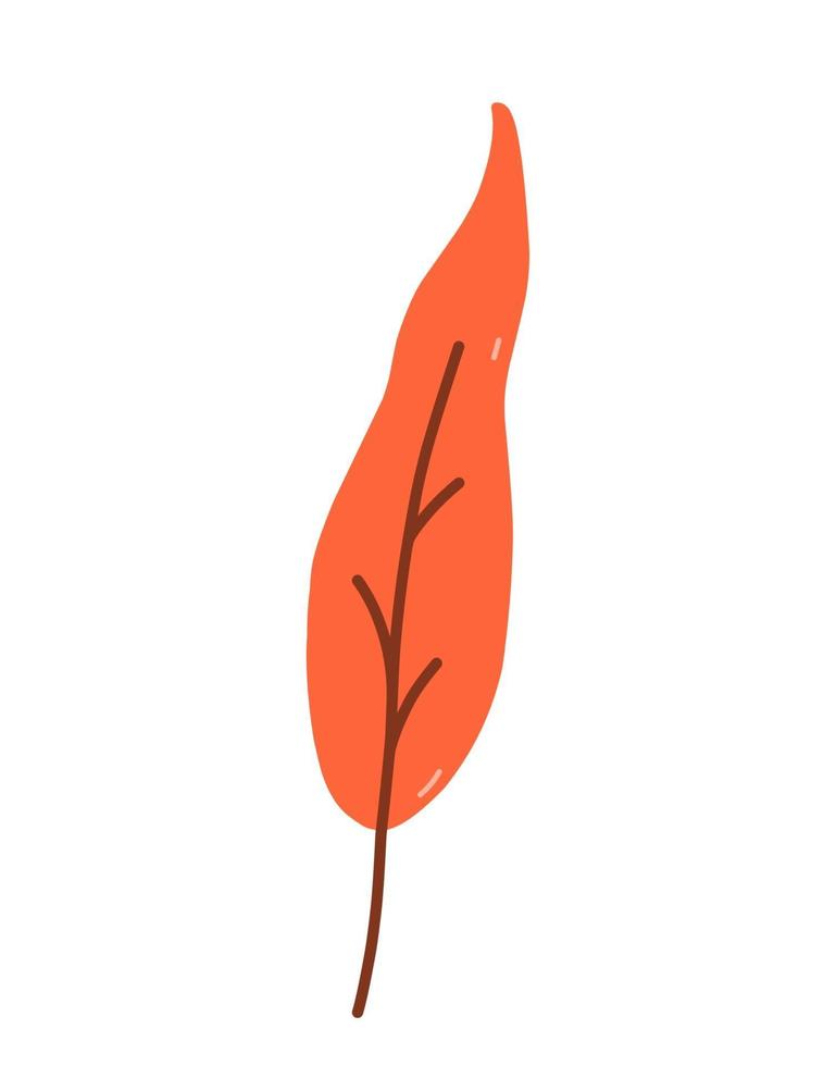 Autumn orange leaf isolated on white background vector