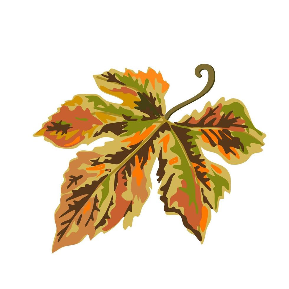 hoja de arce en otoño y temporada de otoño aislado colorido pintado a mano vector