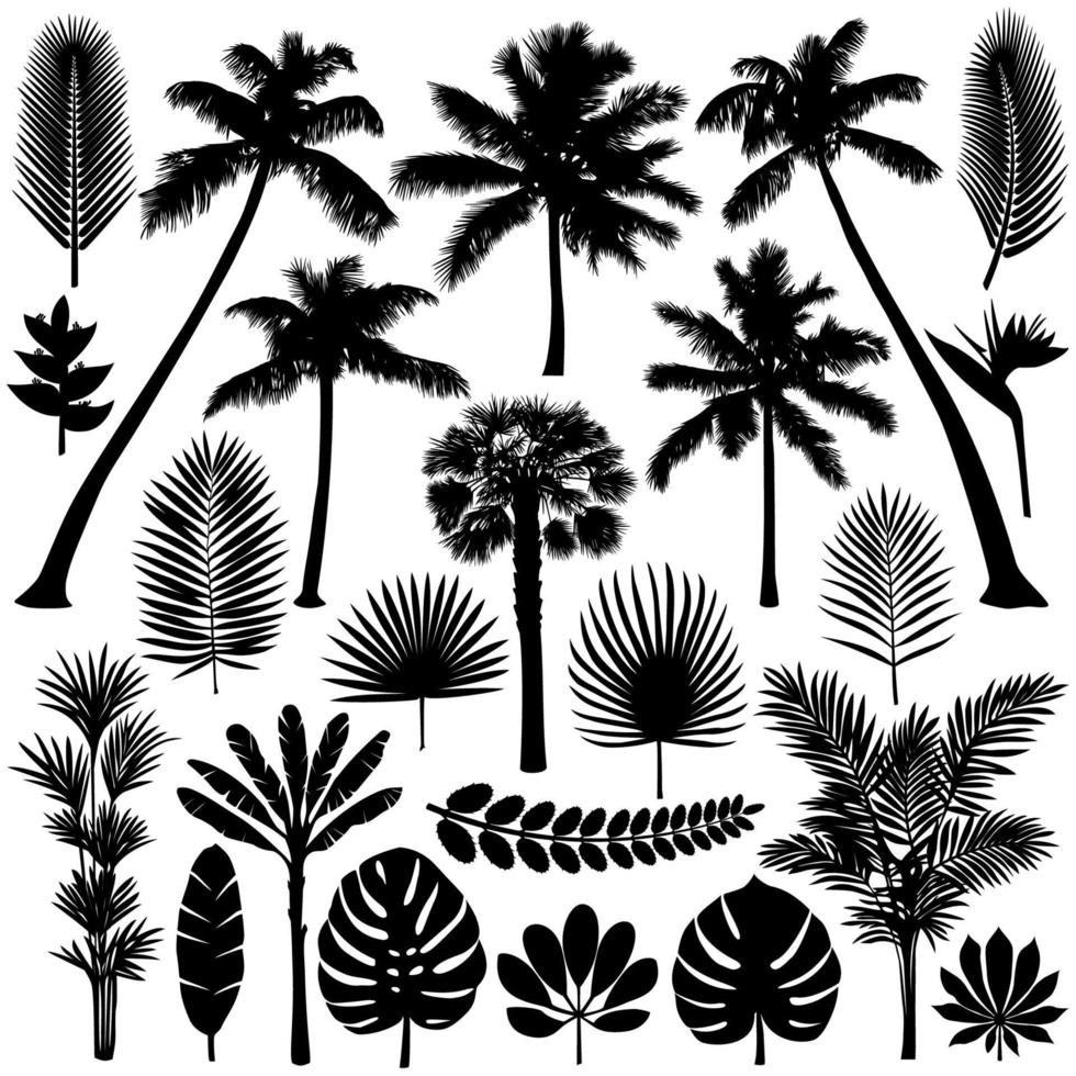 conjunto de silueta de palmeras y plantas tropicales vector