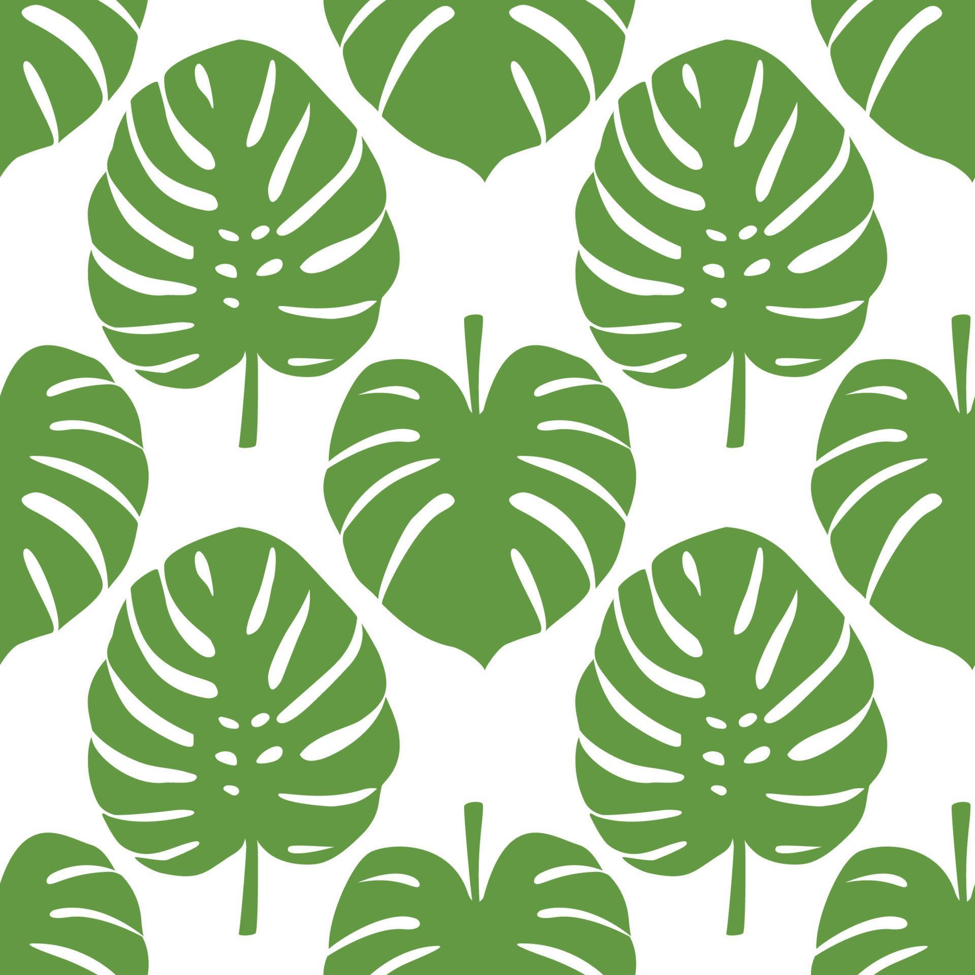 Monstera Seamless Pattern 3445090 Vector Art at Vecteezy