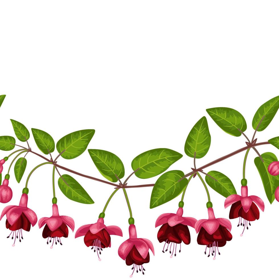 Fuchsia Seamless Border vector