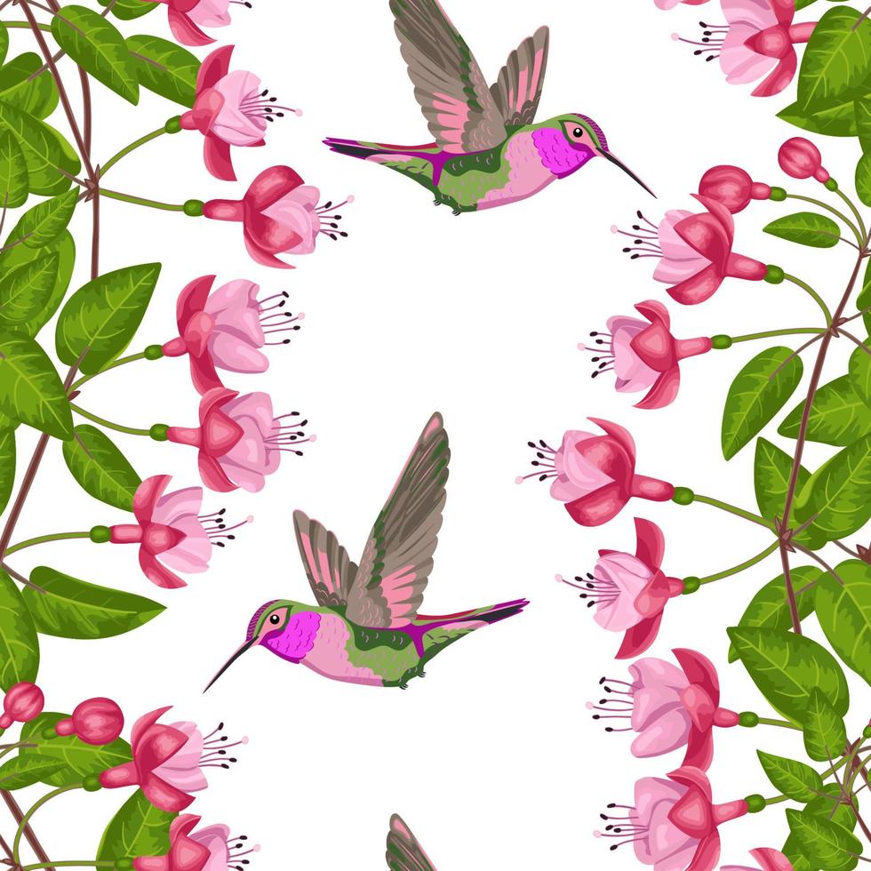 Fuchsia and Hummingbird Seamless Pattern vector