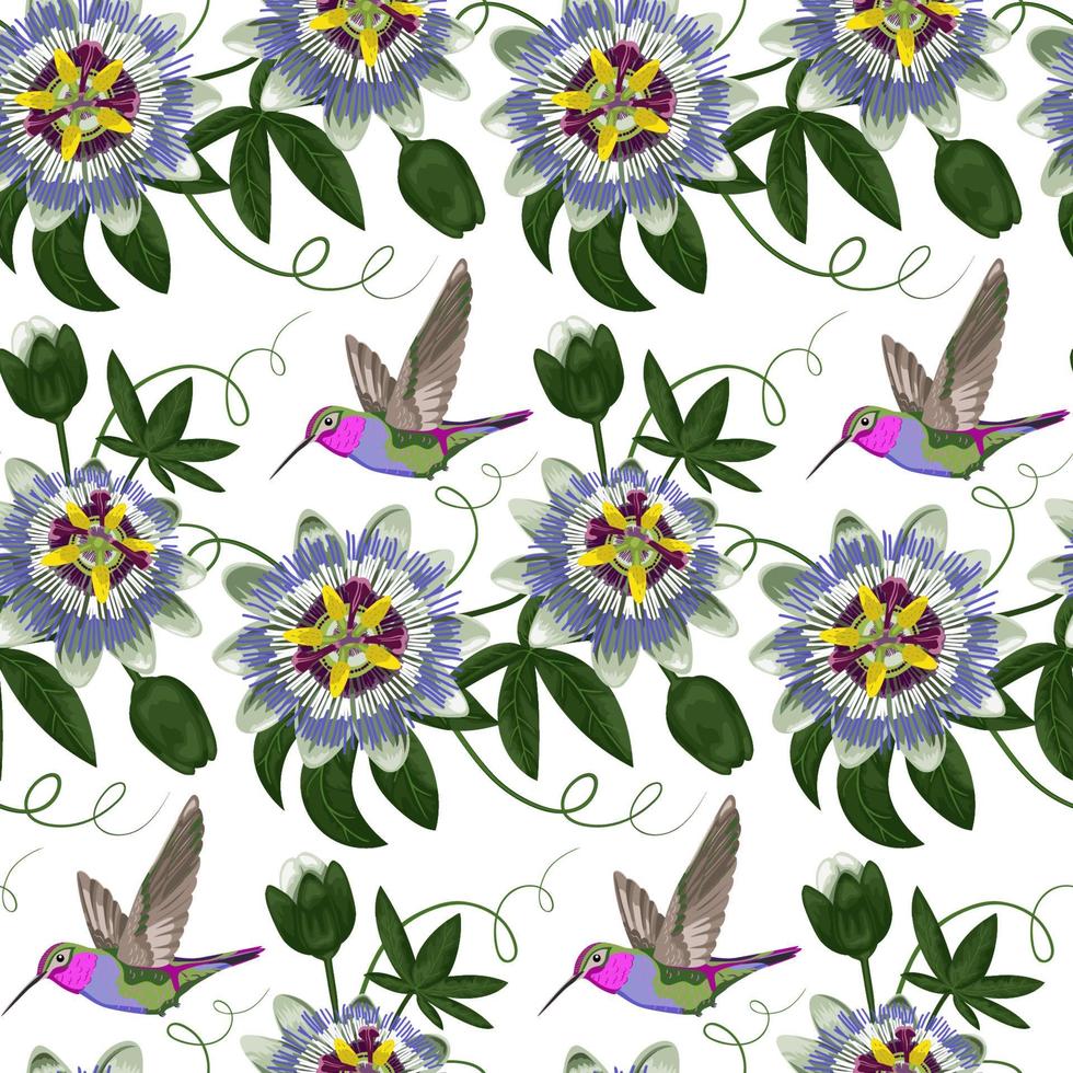 Hummingbird and Passiflora Seamless Pattern vector