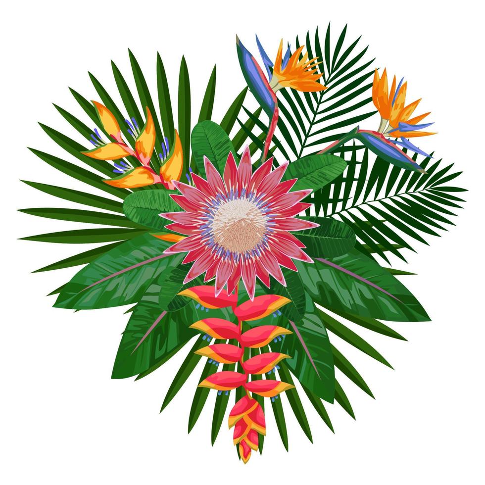 composición de ramo tropical con protea vector