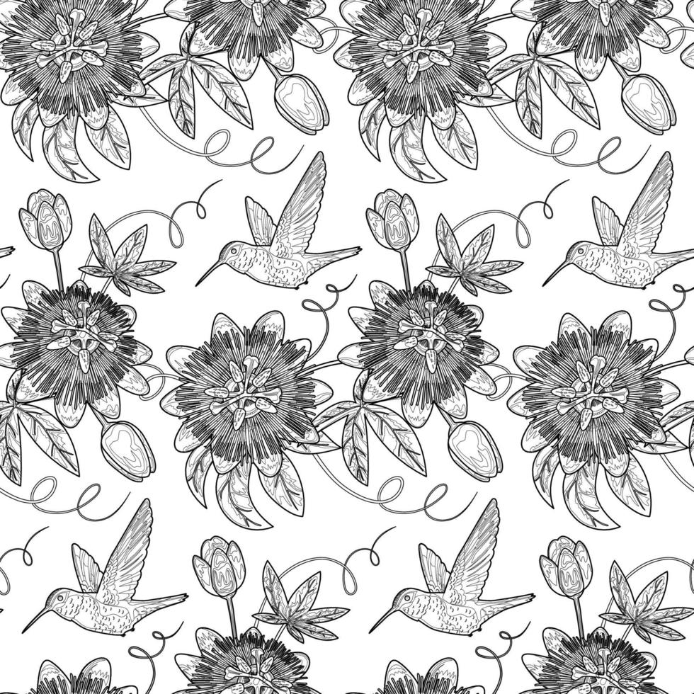 Hummingbird and Passiflora Seamless Pattern vector