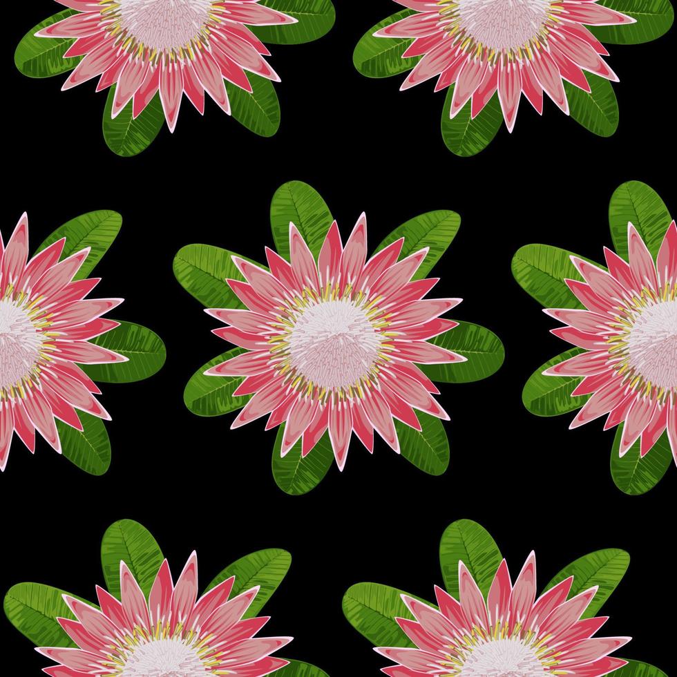 Protea Seamless Pattern vector