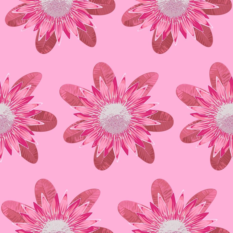 Protea Pink Seamless Pattern vector