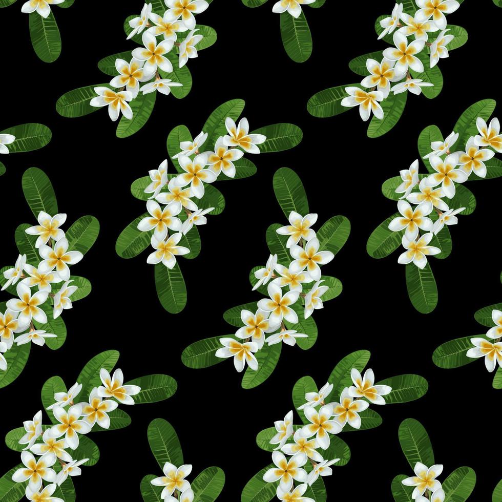 Plumeria Seamless Pattern vector