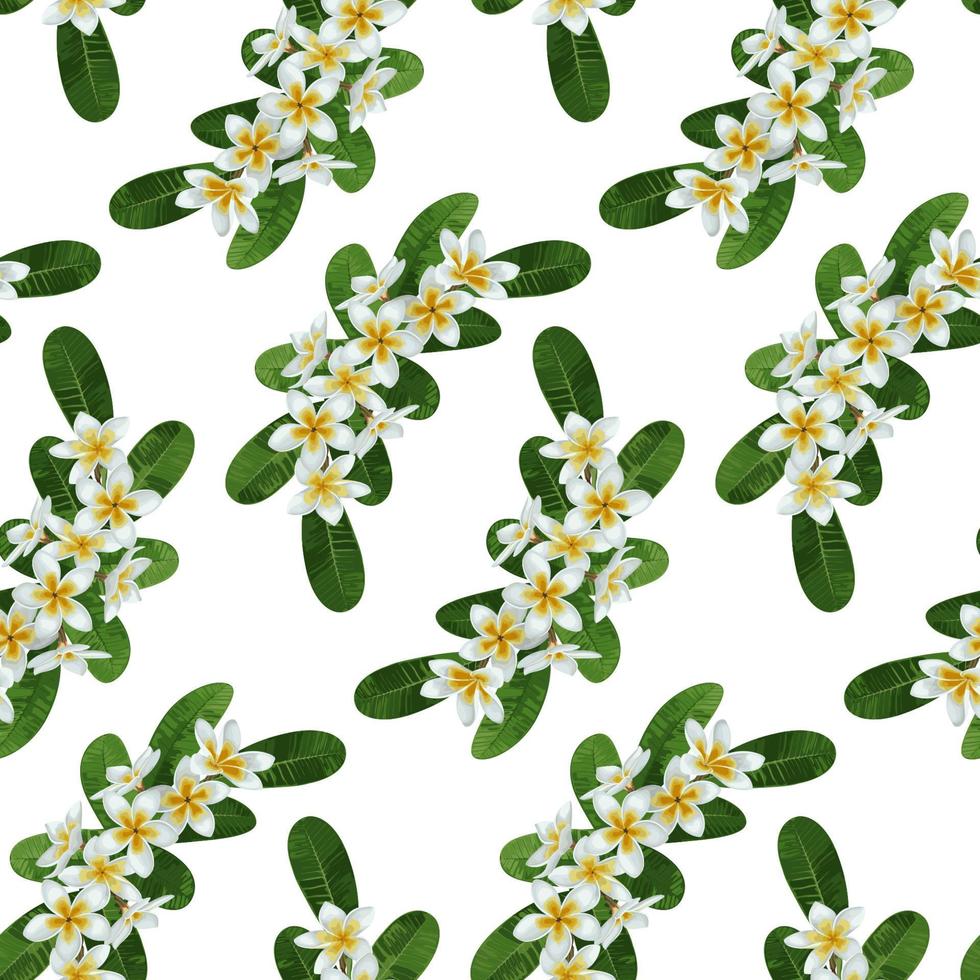 Plumeria Seamless Pattern vector
