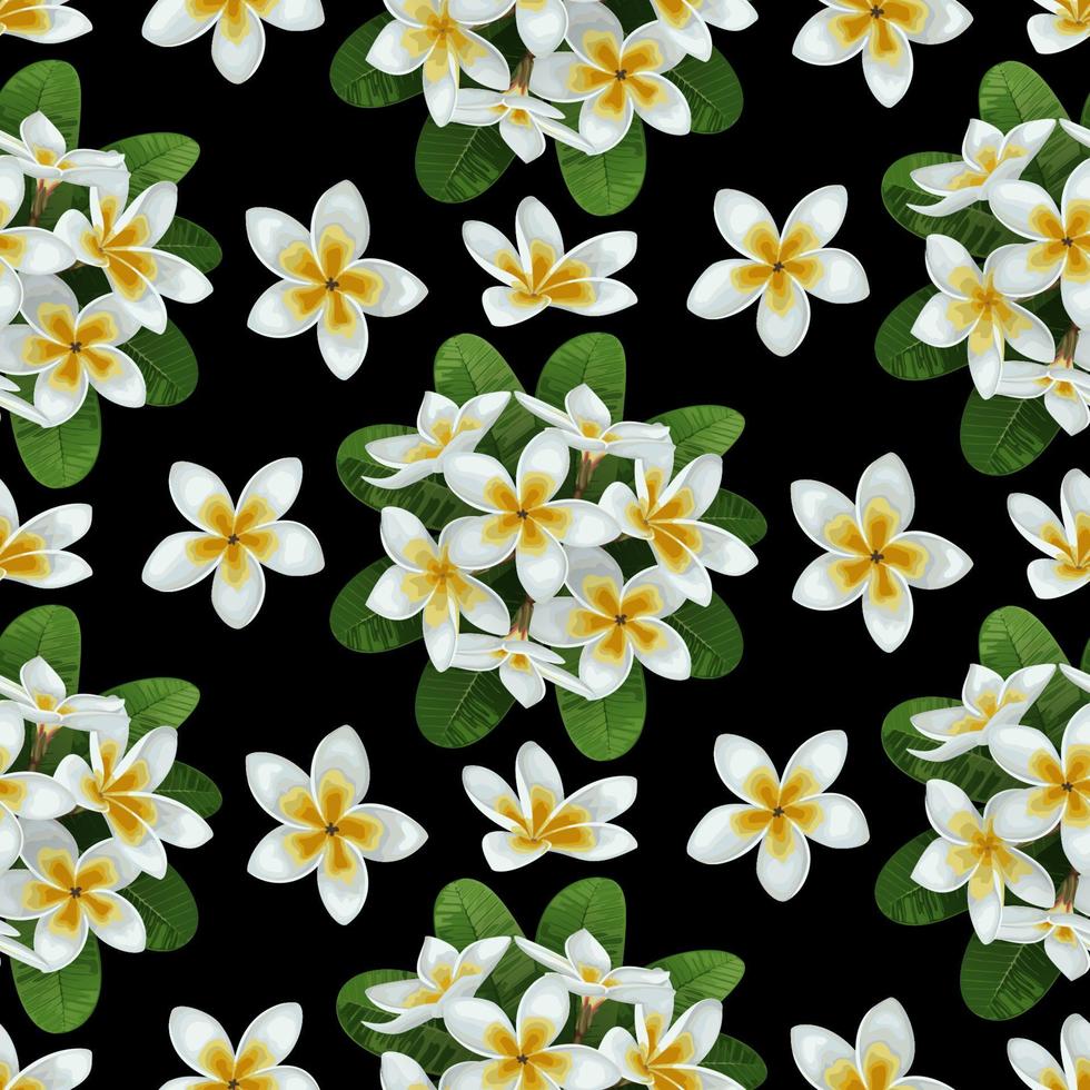 Plumeria Seamless Pattern vector