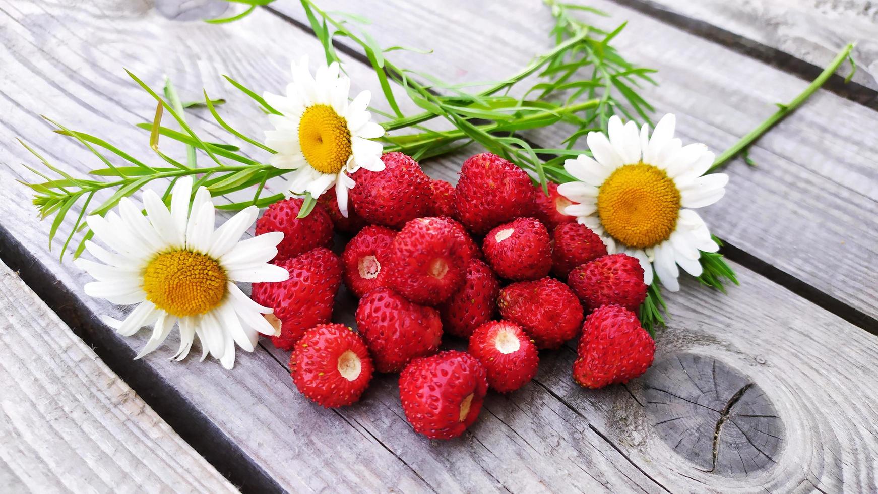 Berries of wild strawberries and chamomile on a wooden background photo