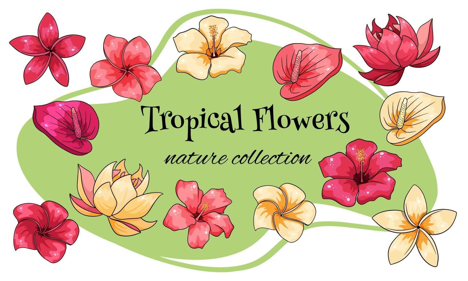 Tropical collection with exotic flowers in cartoon style vector