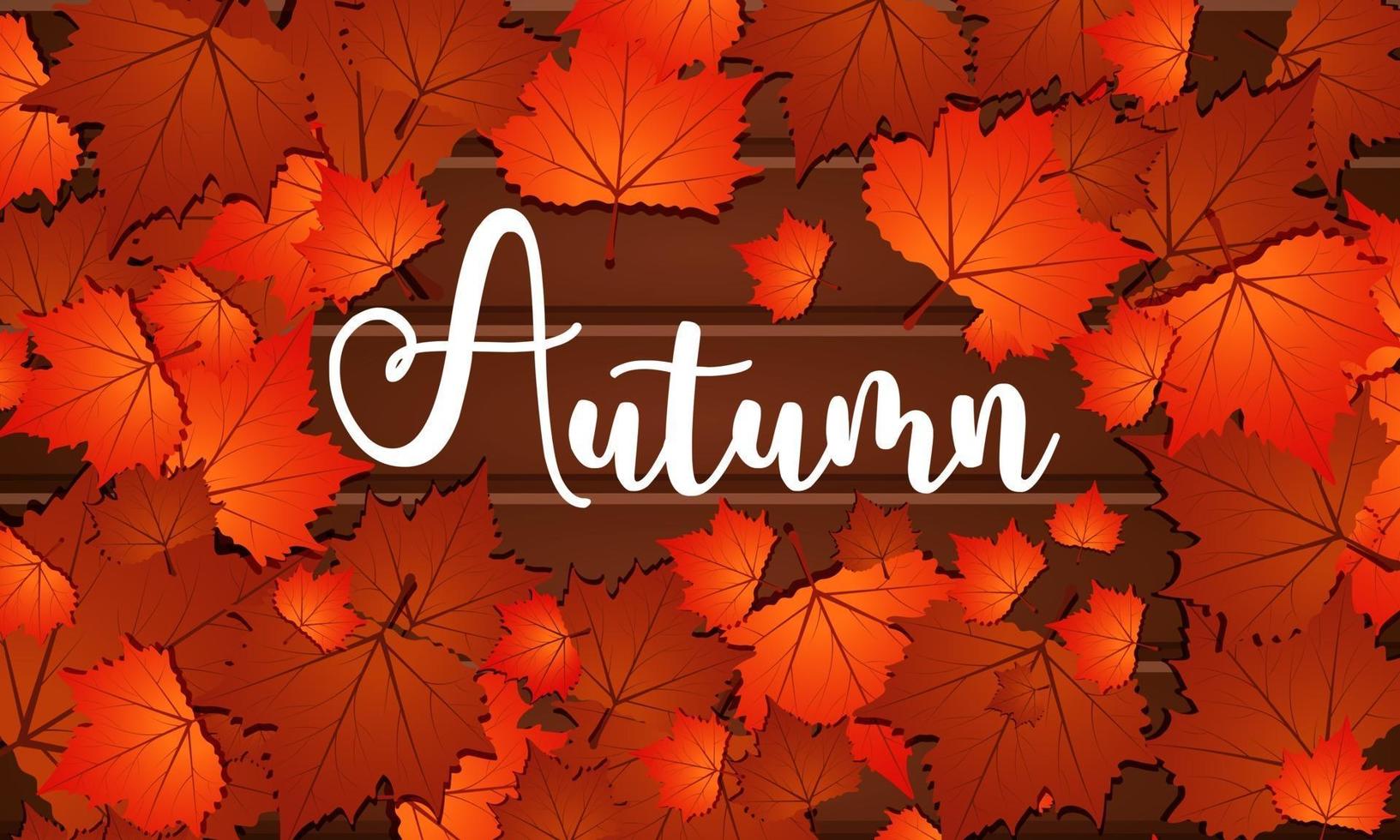 Autumn greeting card with bunch of maple leaves background vector