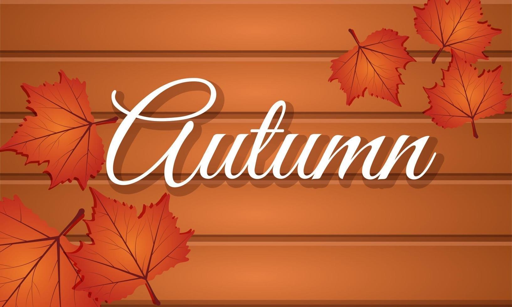 Autumn letters with mapple leaves and wood background vector