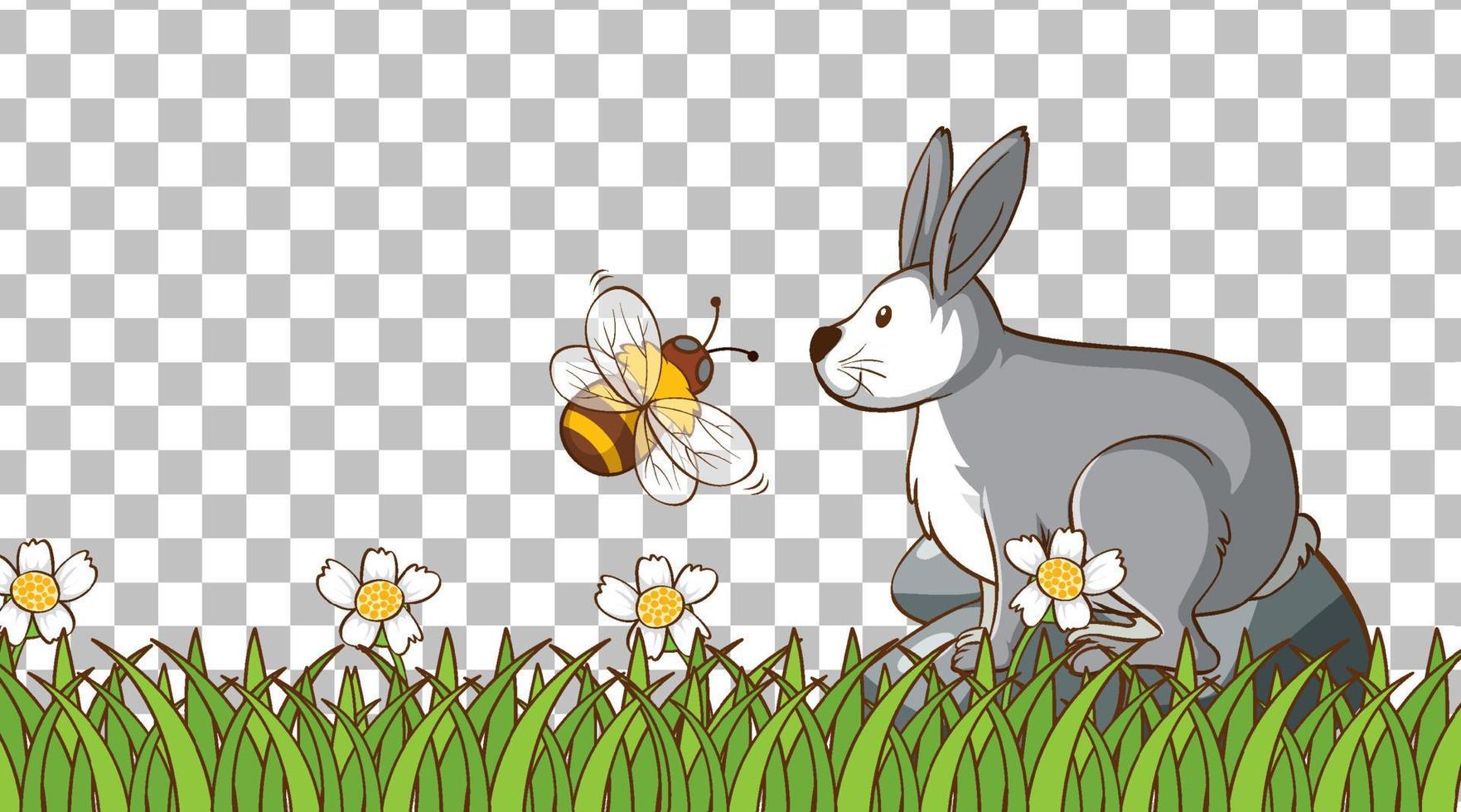 Rabbit standing on the grass field vector