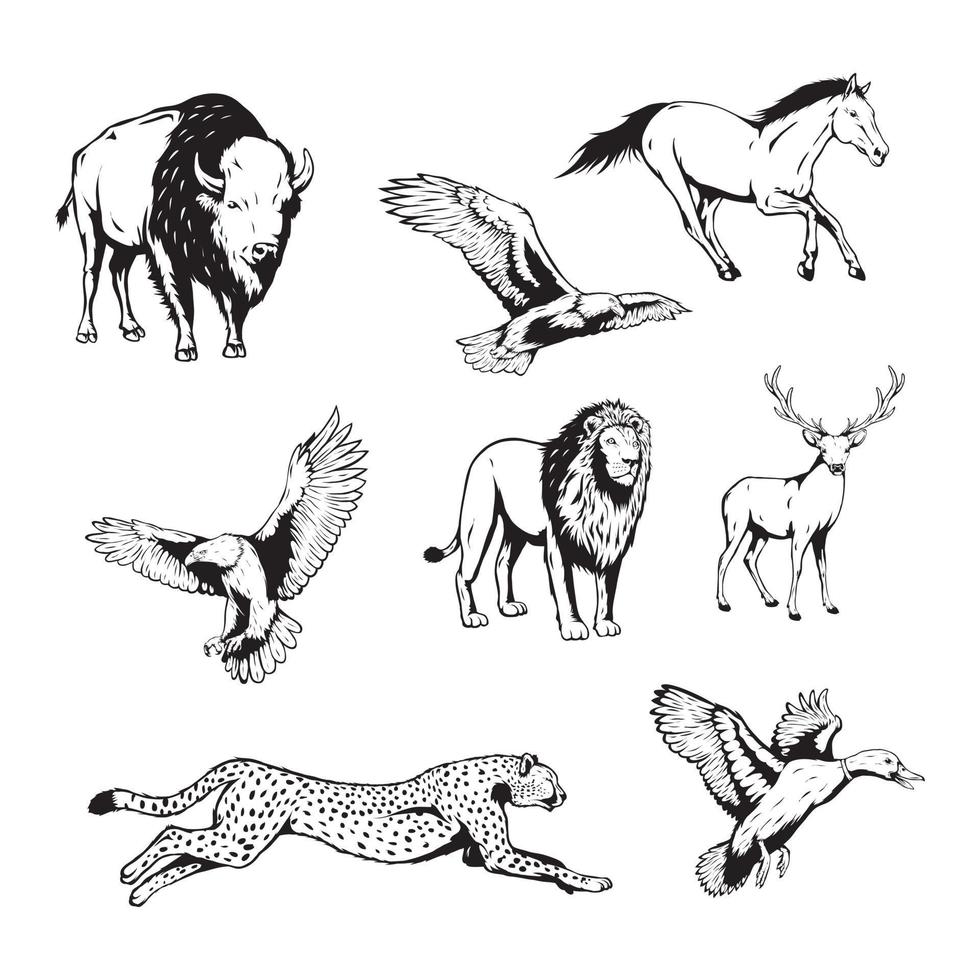 Conjunto de animales salvajes con ilustración de vector dibujado a mano