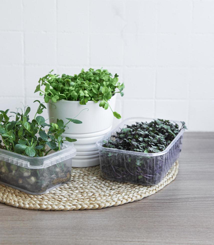 Surtido de micro greens en mesa de madera foto