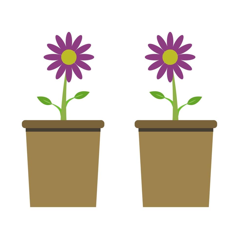 Flower Illustrated On White Background vector