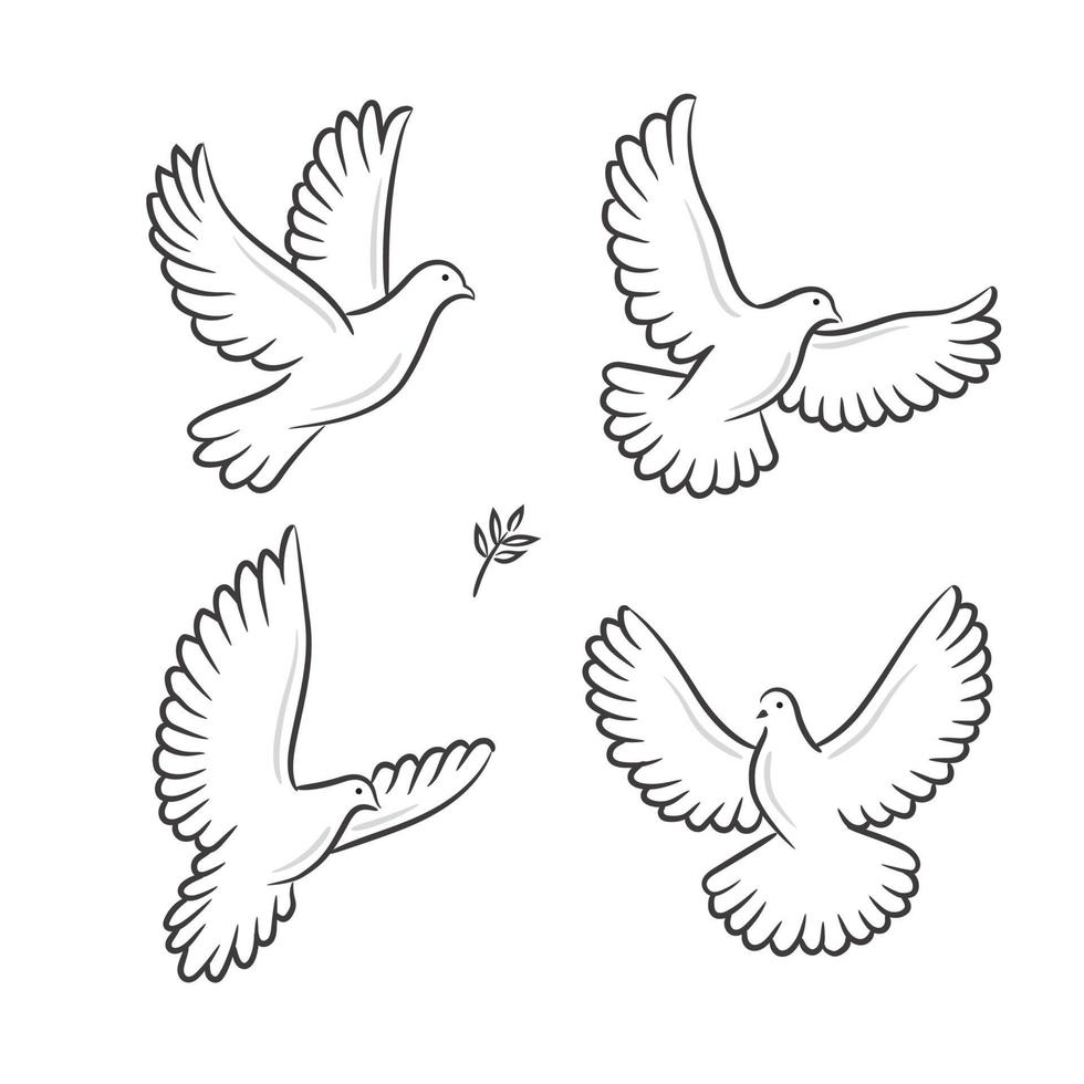 Abstract flying white dove vector