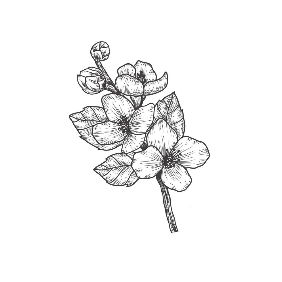 Black and white branch flower outline vector