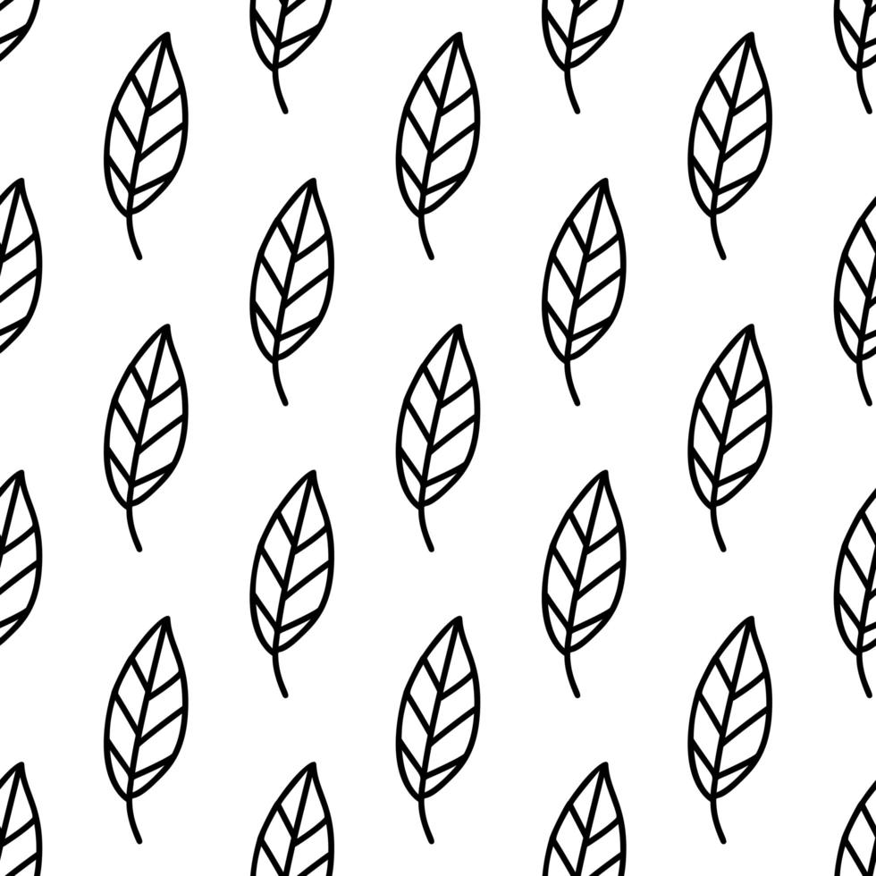 Floral seamless pattern. Isolated on white background vector