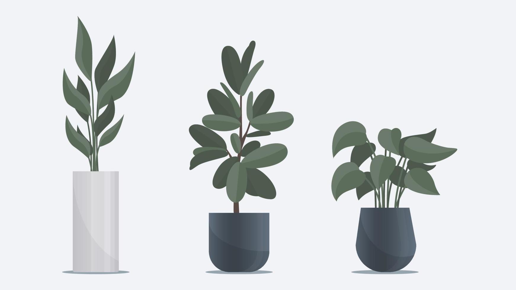 Collection of big flat plant in vase. Office and home decoration vector