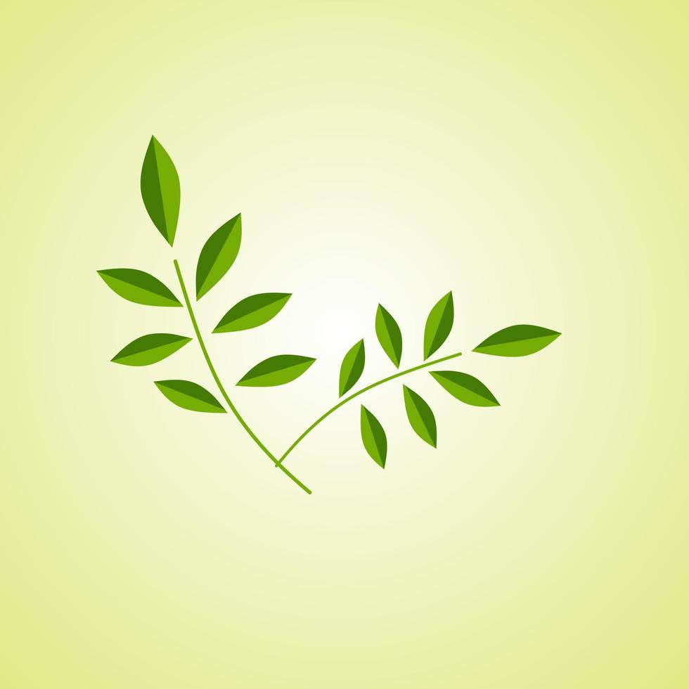 Minimalist leaf vector illustration