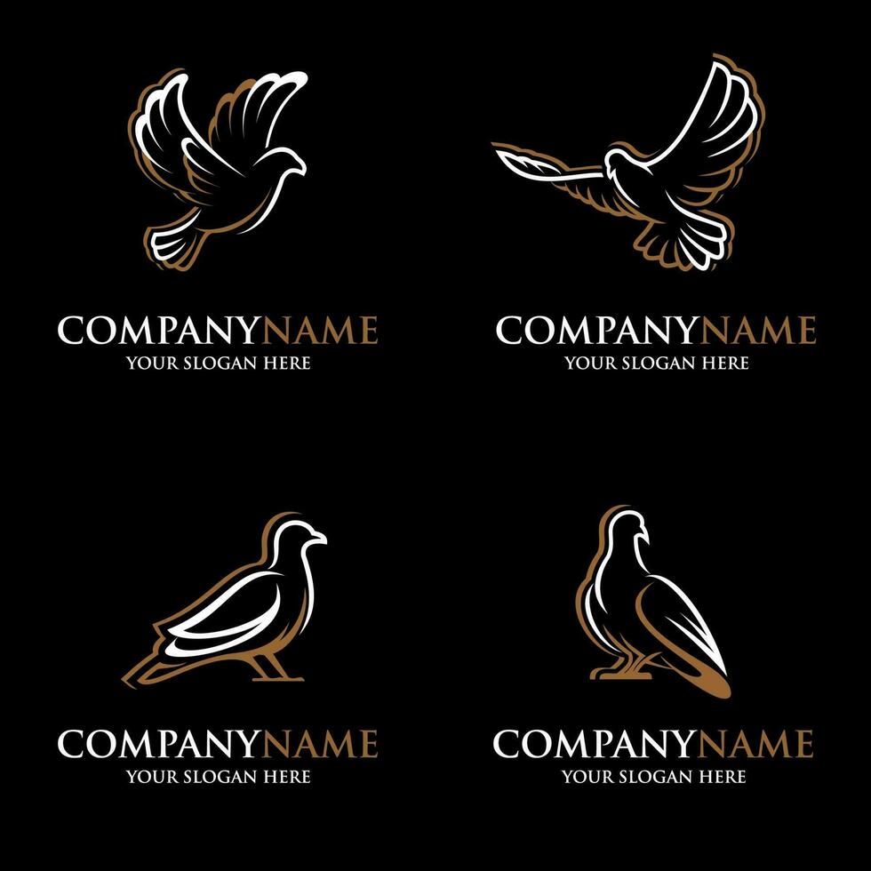 pigeon bird logo compilation vector