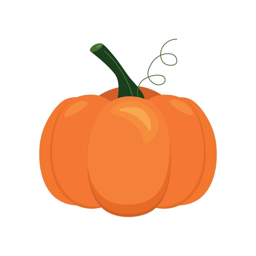 otoño halloween o calabaza de acción de gracias, comida sana vegetal. vector