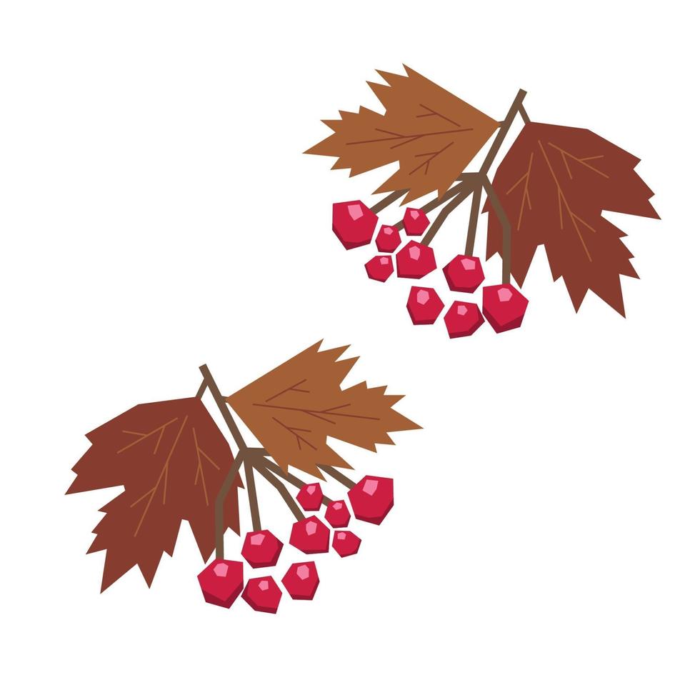 Set of viburnum berries with leaves. vector