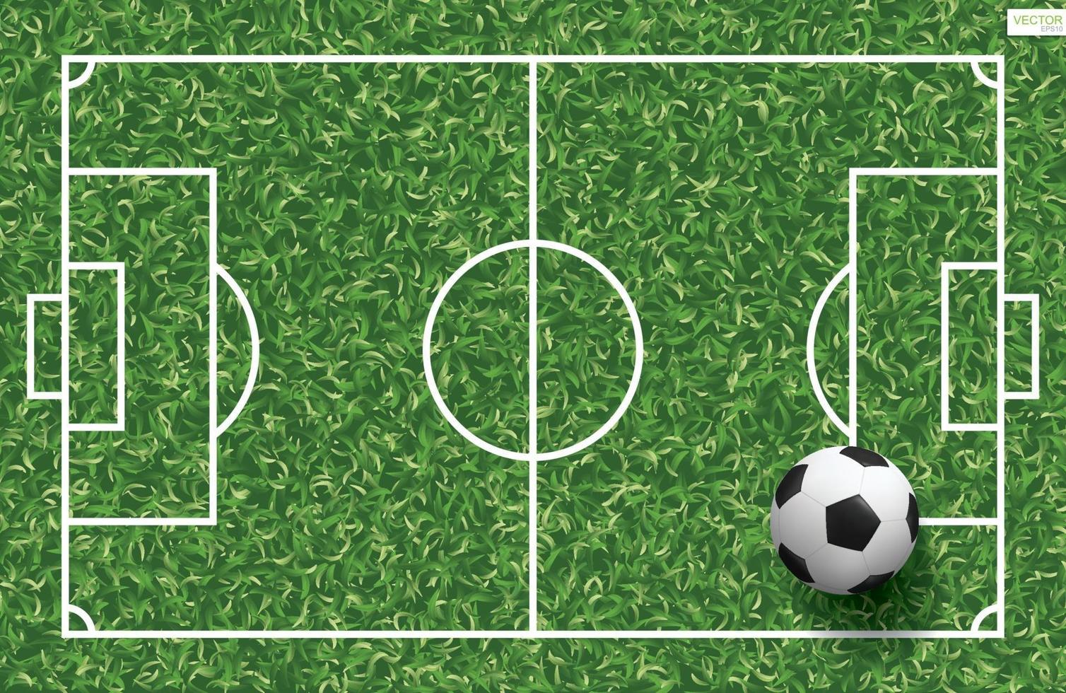 Soccer football ball on green grass of soccer field. Vector. vector