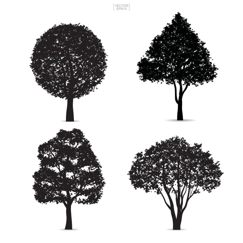 siluetas de árboles aislados sobre fondo blanco. vector. vector