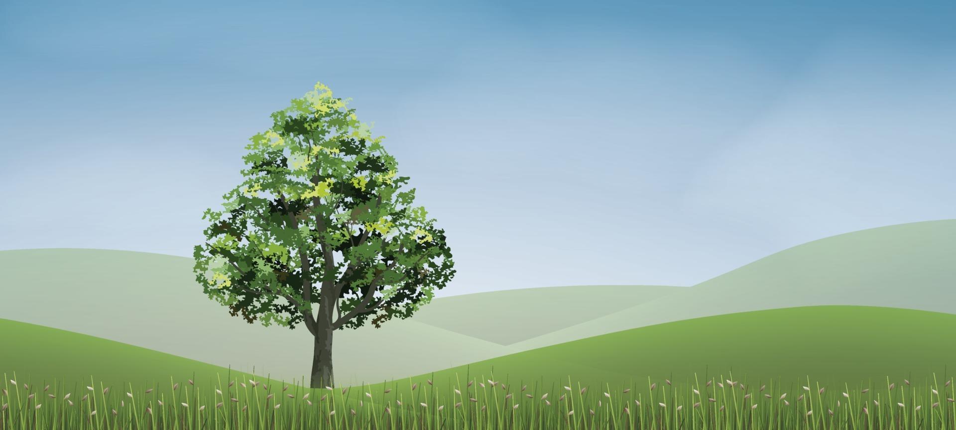 Tree in green grass hill area with blue sky. Vector. vector