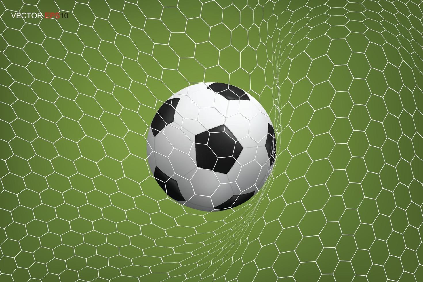 Soccer football ball in goal. Vector. vector