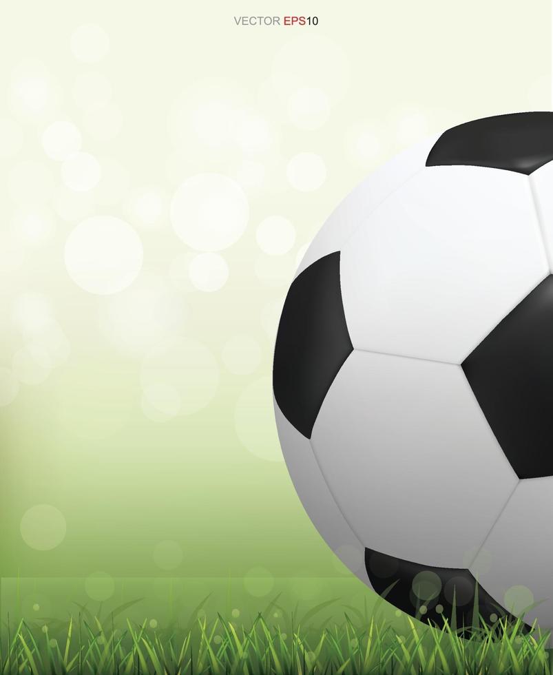 Soccer football ball on green grass field. Vector. vector