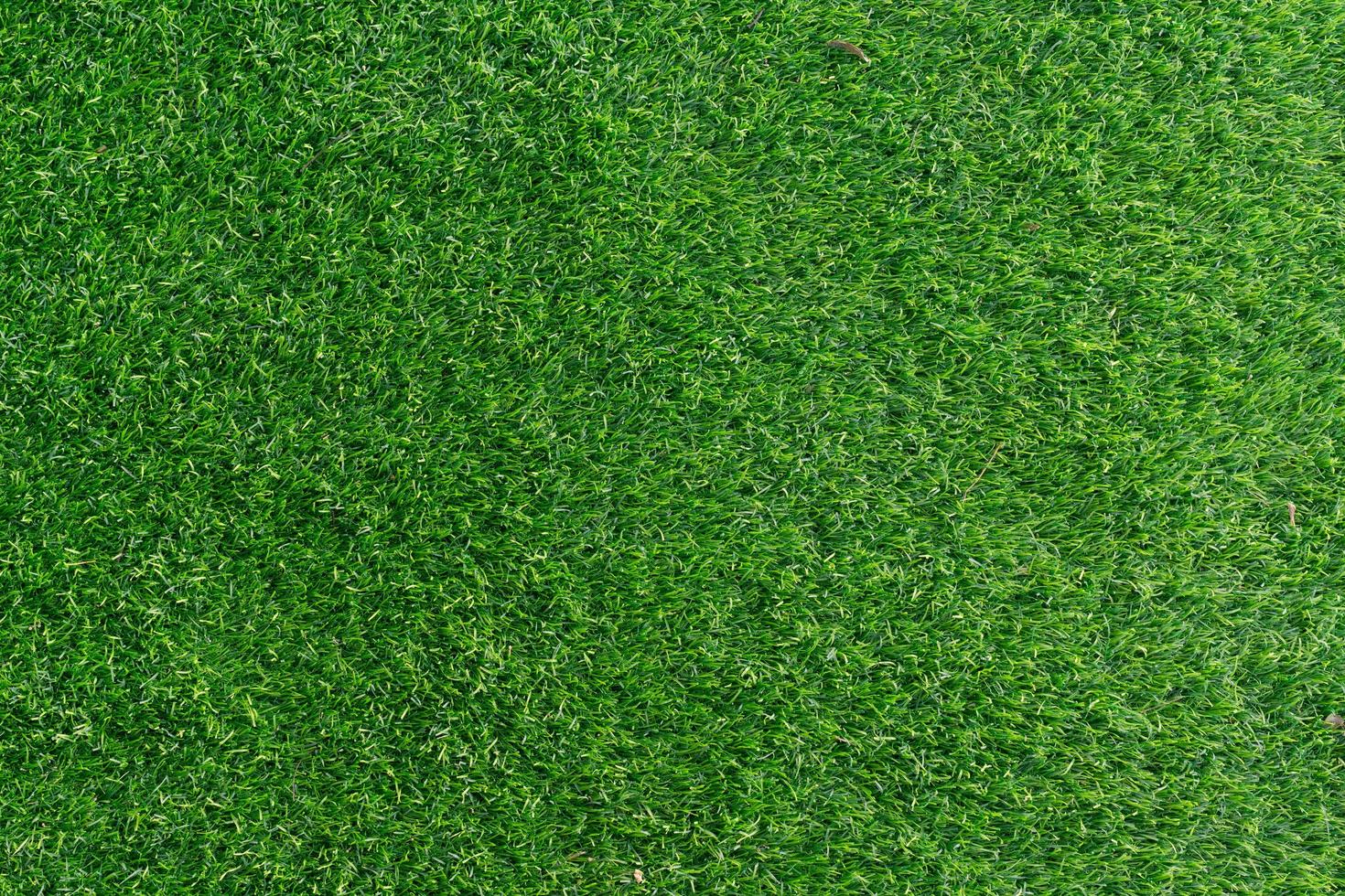 Green grass field background photo