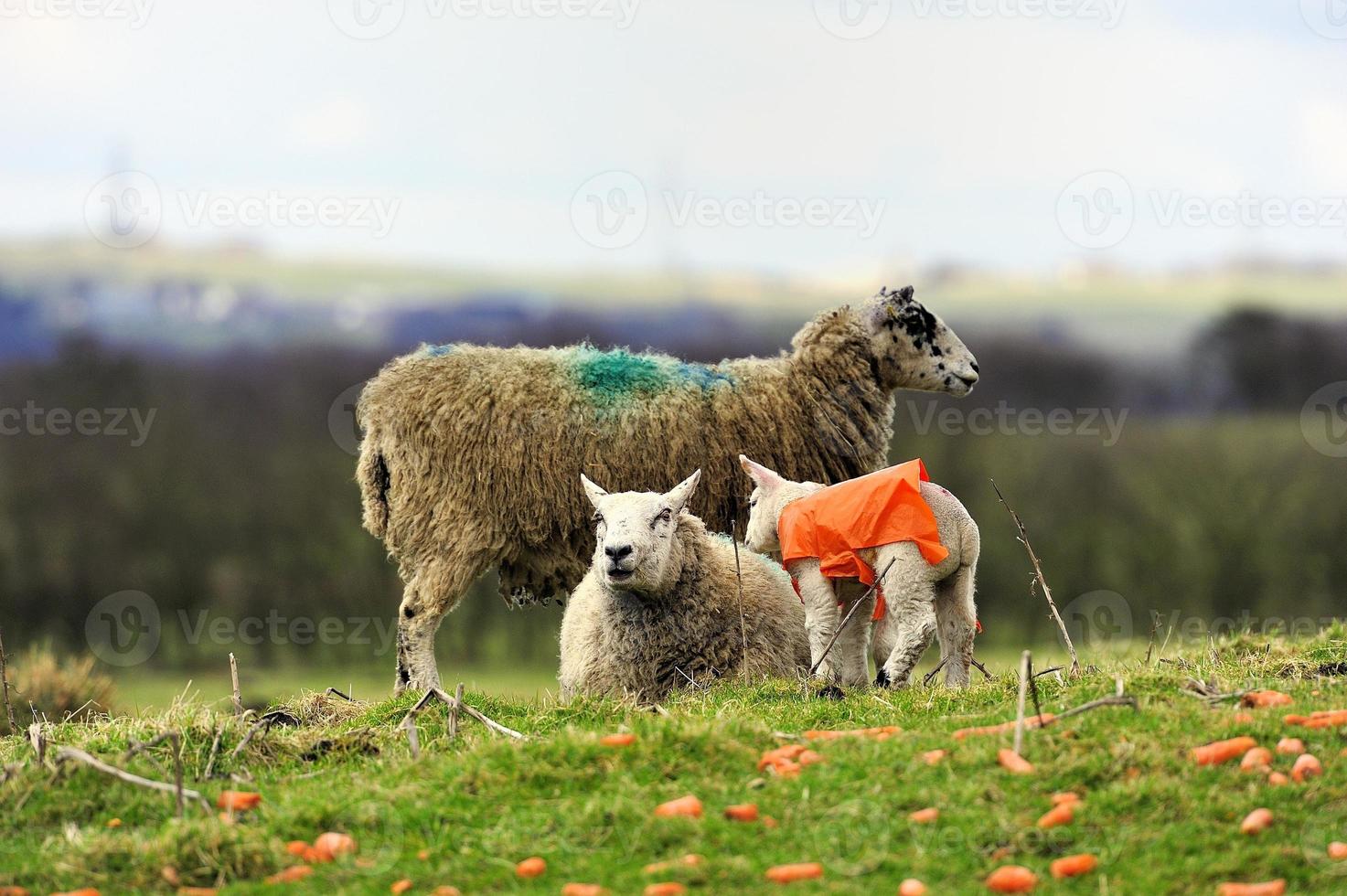 Family time with Mum photo